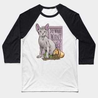 I do What I Want Funny Sphynx Cat Baseball T-Shirt